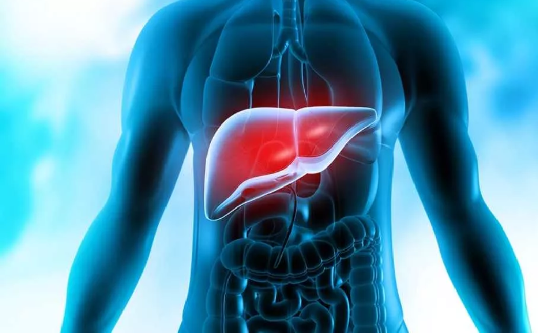 Is Your Stomach Healthy? - Liver
